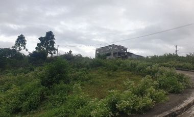 CORNER LOT 290 Sqm for Sale in Greenwoods near Talamban Cebu City with Mountain View