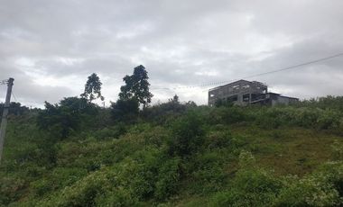 CORNER LOT 290 Sqm for Sale in Greenwoods near Talamban Cebu City with Mountain View