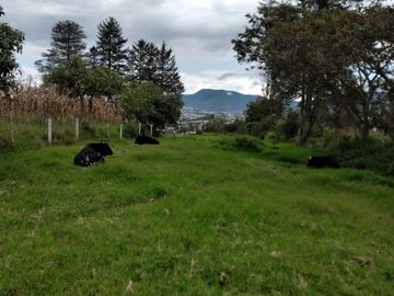 Venta de terreno en Tanguarín de San Antonio de la ciudad de Ibarra