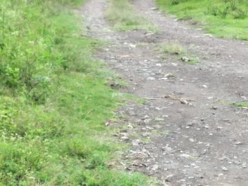 Venta de terreno en Tanguarín de San Antonio de la ciudad de Ibarra