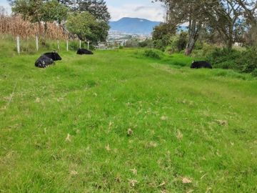 Venta de terreno en Tanguarín de San Antonio de la ciudad de Ibarra