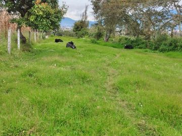 Venta de terreno en Tanguarín de San Antonio de la ciudad de Ibarra