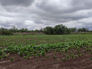 TERRENO VENTA CERRILLOS 7600 M2 CERCA DE RUTA 68