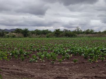 TERRENO VENTA CERRILLOS 7600 M2 CERCA DE RUTA 68