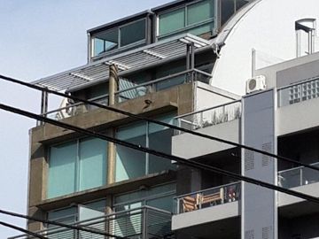 Departamento - Palermo Hollywood