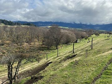 Hermosa Parcela en venta en sector Ensenada, Coyhaique