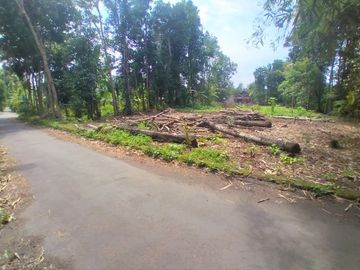 Rumah Konsep Jawa Kuno Nyaman di Lokasi Strategis