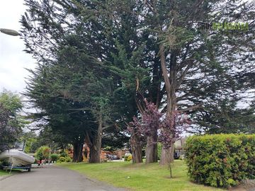 Casa en arriendo de 5 dorm. en Puerto Varas
