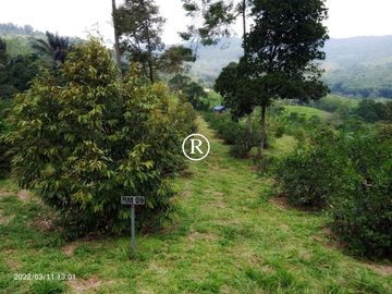 Tanah Kavling Pesona Bukit Madani - Harga MURAH Pisan Gaess !!!