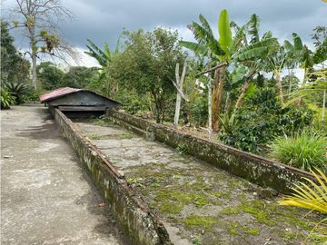SE VENDE FINCA EN LA VIA CIRCASIA - MONTENEGRO
