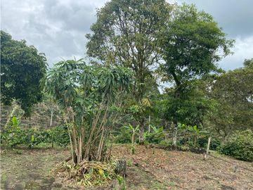 SE VENDE FINCA EN LA VIA CIRCASIA - MONTENEGRO