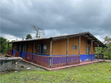 SE VENDE FINCA EN LA VIA CIRCASIA - MONTENEGRO