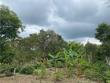 SE VENDE FINCA EN LA VIA CIRCASIA - MONTENEGRO