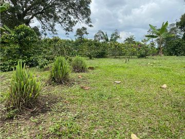 SE VENDE FINCA EN LA VIA CIRCASIA - MONTENEGRO