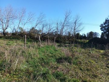Terreno de 10.000 m2 a 1 km de la Ruta 5, en Ñiquén, Región de Ñuble.