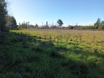 Terreno de 10.000 m2 a 1 km de la Ruta 5, en Ñiquén, Región de Ñuble.