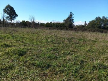 Terreno de 10.000 m2 a 1 km de la Ruta 5, en Ñiquén, Región de Ñuble.