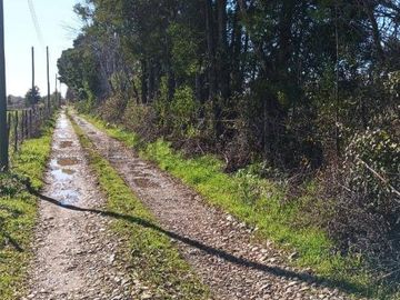 Terreno de 10.000 m2 a 1 km de la Ruta 5, en Ñiquén, Región de Ñuble.