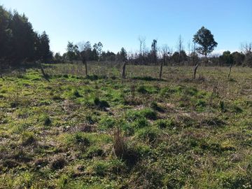 Terreno de 10.000 m2 a 1 km de la Ruta 5, en Ñiquén, Región de Ñuble.