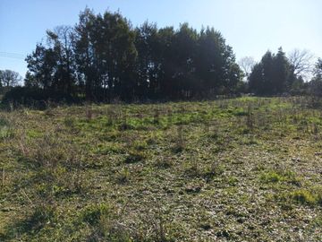 Terreno de 10.000 m2 a 1 km de la Ruta 5, en Ñiquén, Región de Ñuble.