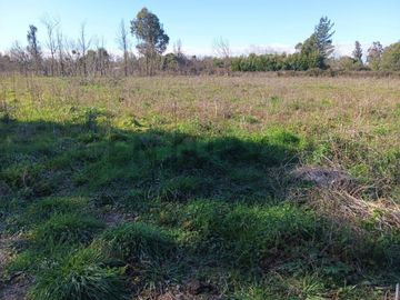 Terreno de 10.000 m2 a 1 km de la Ruta 5, en Ñiquén, Región de Ñuble.
