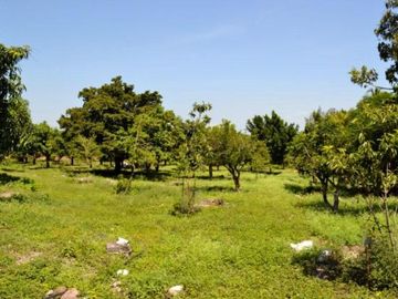 Casa Terreno Finca Huerta con  Alberca Cancha de Tenis, Todos los Servicios