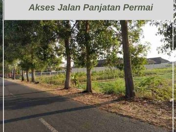 Jual Tanah 1,5Jt Area Kulonprogo Panjatan