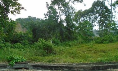 189 SQM Subdivision Lot for Sale in Greenwoods near Talamban Cebu City
