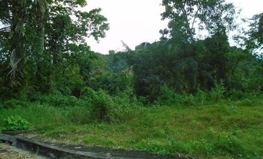 189 SQM Subdivision Lot for Sale in Greenwoods near Talamban Cebu City