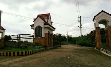 189 SQM Subdivision Lot for Sale in Greenwoods near Talamban Cebu City