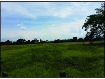 FINCA GANADERA-ARROCERA EN SAN LUIS TOLIMA