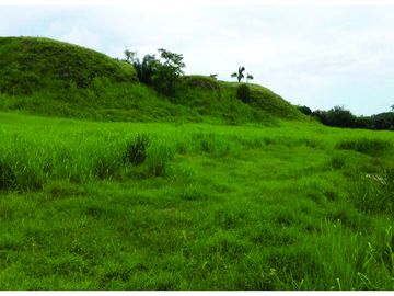 FINCA GANADERA-ARROCERA EN SAN LUIS TOLIMA