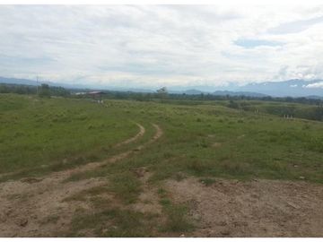 FINCA GANADERA-ARROCERA EN SAN LUIS TOLIMA