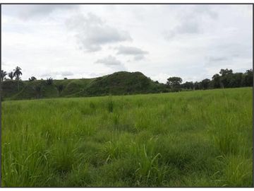 FINCA GANADERA-ARROCERA EN SAN LUIS TOLIMA