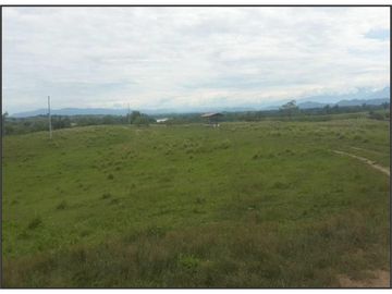 FINCA GANADERA-ARROCERA EN SAN LUIS TOLIMA