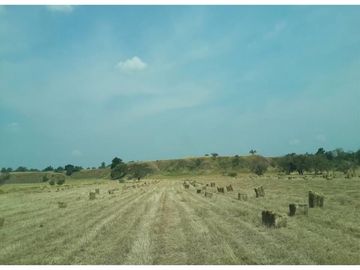 FINCA GANADERA-ARROCERA EN SAN LUIS TOLIMA