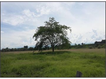 FINCA GANADERA-ARROCERA EN SAN LUIS TOLIMA