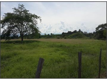FINCA GANADERA-ARROCERA EN SAN LUIS TOLIMA