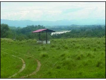 FINCA GANADERA-ARROCERA EN SAN LUIS TOLIMA