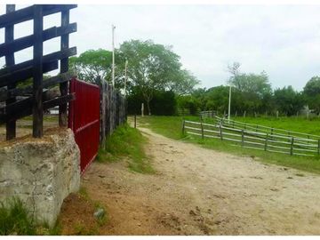 FINCA GANADERA-ARROCERA EN SAN LUIS TOLIMA