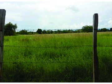 FINCA GANADERA-ARROCERA EN SAN LUIS TOLIMA