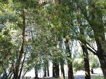 Parcela en Venta en Riñihue