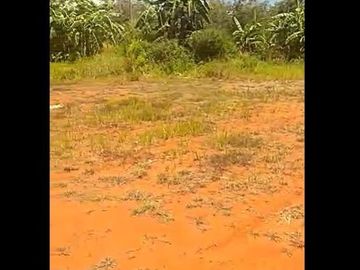 Dijual Tanah 300 Hektar Di Waluran Sukabumi