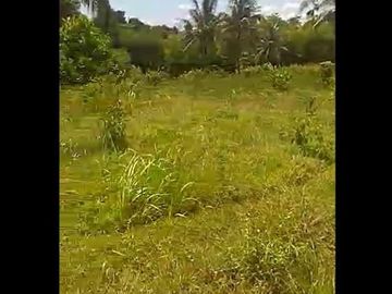 Dijual Tanah 300 Hektar Di Waluran Sukabumi