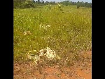 Dijual Tanah 300 Hektar Di Waluran Sukabumi