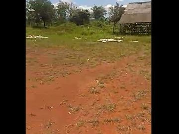 Dijual Tanah 300 Hektar Di Waluran Sukabumi