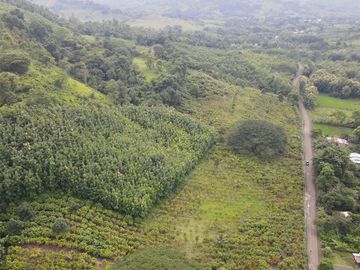 Finca de Cacao en Venta