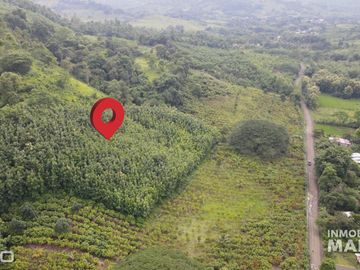 Finca de Cacao en Venta