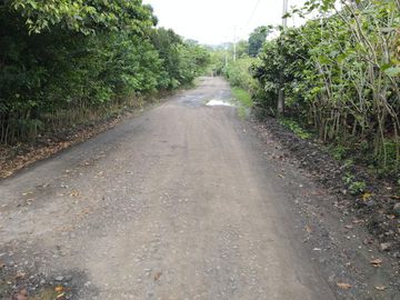 Finca de Cacao en Venta
