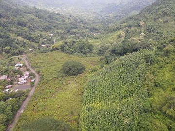 Finca de Cacao en Venta
